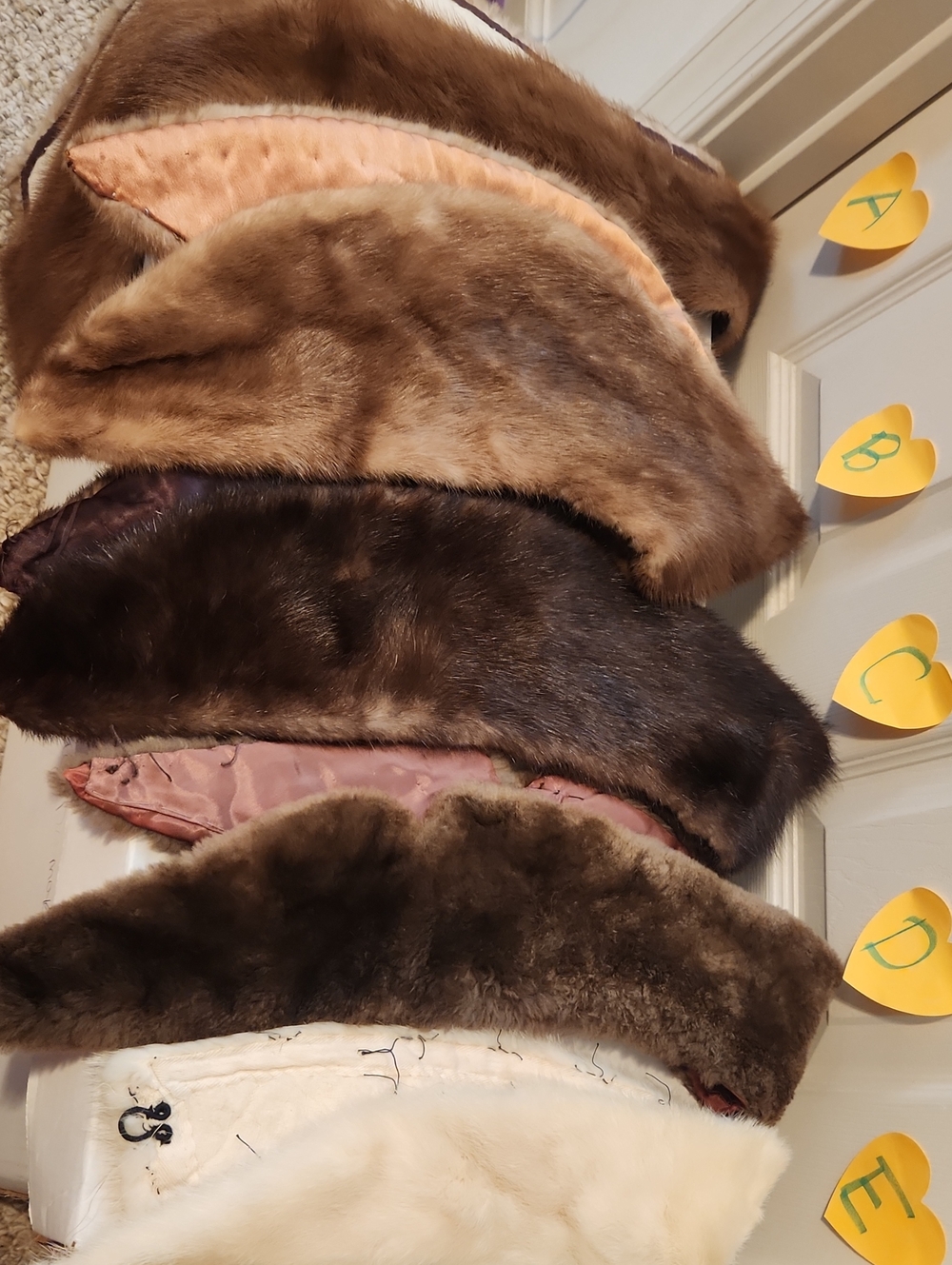 Vintage Fur Collar Bundle Of 5